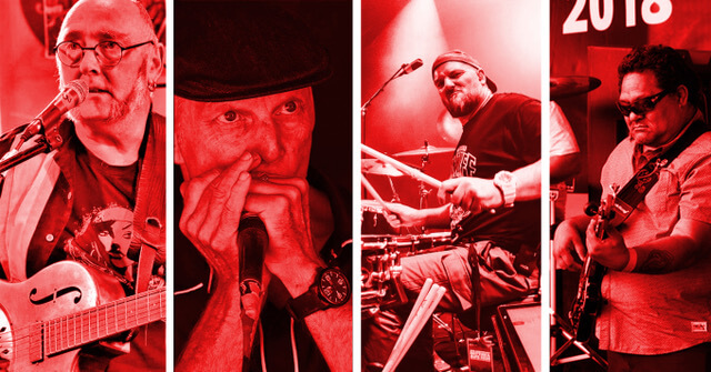 Wellington blues band