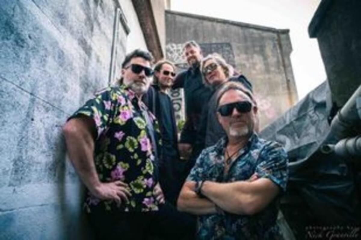 Wellington blues rock band live