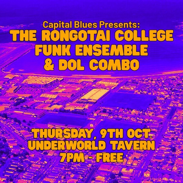 Live blues bands in Wellington